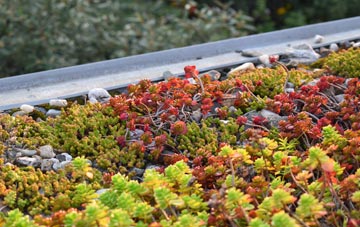 the cost of Tibshelf green roof installation