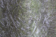 Tibshelf fibreglass roof work